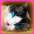 :iconsunheart04:
