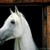 :iconsunhorse-creations: