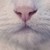 :iconsuniih: