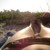 :iconsunlight-in-my-eyes: