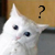 :iconsunlight210: