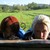 :iconsunnidayz135: