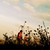 :iconsunny-california: