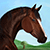 :iconsunny-meadows-stable: