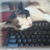 :iconsunny-side: