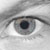 :iconsunny16rule: