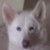 :iconsunnybunnymew: