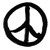 :iconsunnydinnu: