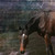 :iconsunnygardens21: