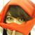 :iconsunnyhunnybunny: