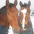 :iconsunnykatharina: