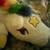 :iconsunnyluv1: