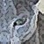 :iconsunnynightstars: