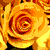 :iconSunofKyuss: