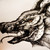 :iconsunrider24: