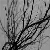 :iconsunrise1356: