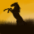 :iconsunset-horse:
