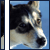 :iconsunset-life: