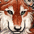 :iconsunset-wolf313: