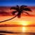 :iconsunsetphoto: