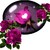 :iconsunsh08: