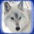 :iconsunshadow:
