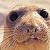 :iconsunshine-flowers: