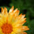 :iconSunshine-Photo: