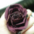 :iconsunshine1994: