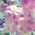 :iconsunshinephony: