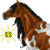 :iconsunshinesafari: