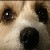 :iconsunshinesiryn27: