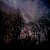 :iconsunshower-lovely: