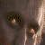 :iconsunspotsoul: