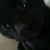 SunStar777 :iconsunstar777: