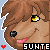 :iconsunte19: