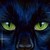 :iconsunwolf44: