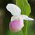 :iconsup3rtr00per: