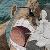 :iconsupafranky-plz: