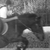 :iconsuper-ponay: