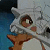 :iconsuper5ecretagent: