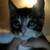 :iconsuperasoopes: