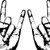 :iconsuperbl33der: