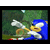:iconsuperbrawlsonic: