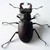 :iconsuperbug1: