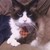 :iconsupercake129: