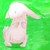 :iconsuperchichili: