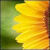 :iconsuperdawn: