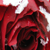 :iconSuperdeeduper: