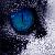 :iconsuperdog90: